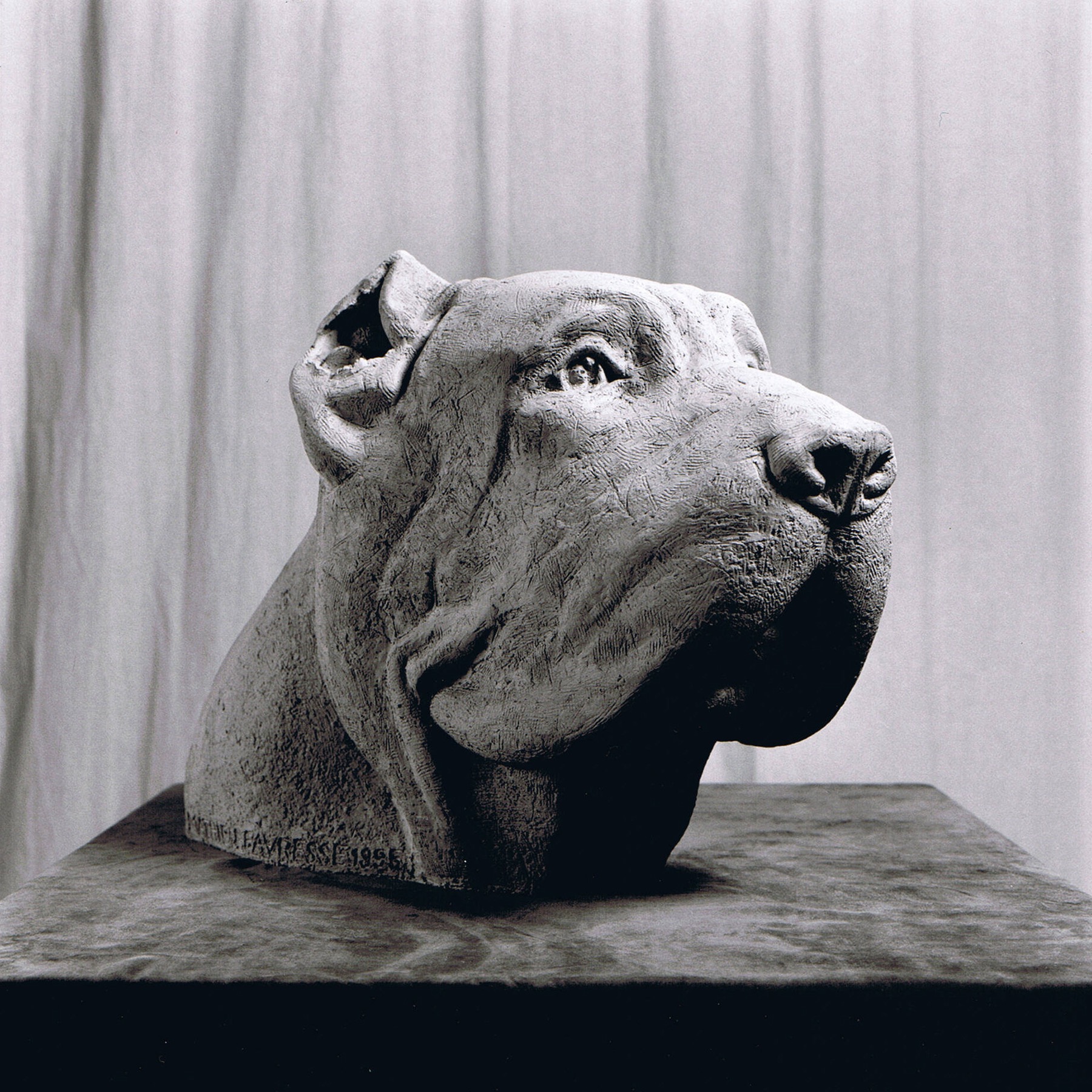 Sculpture terre cuite ronde-bosse tête d’animal chien