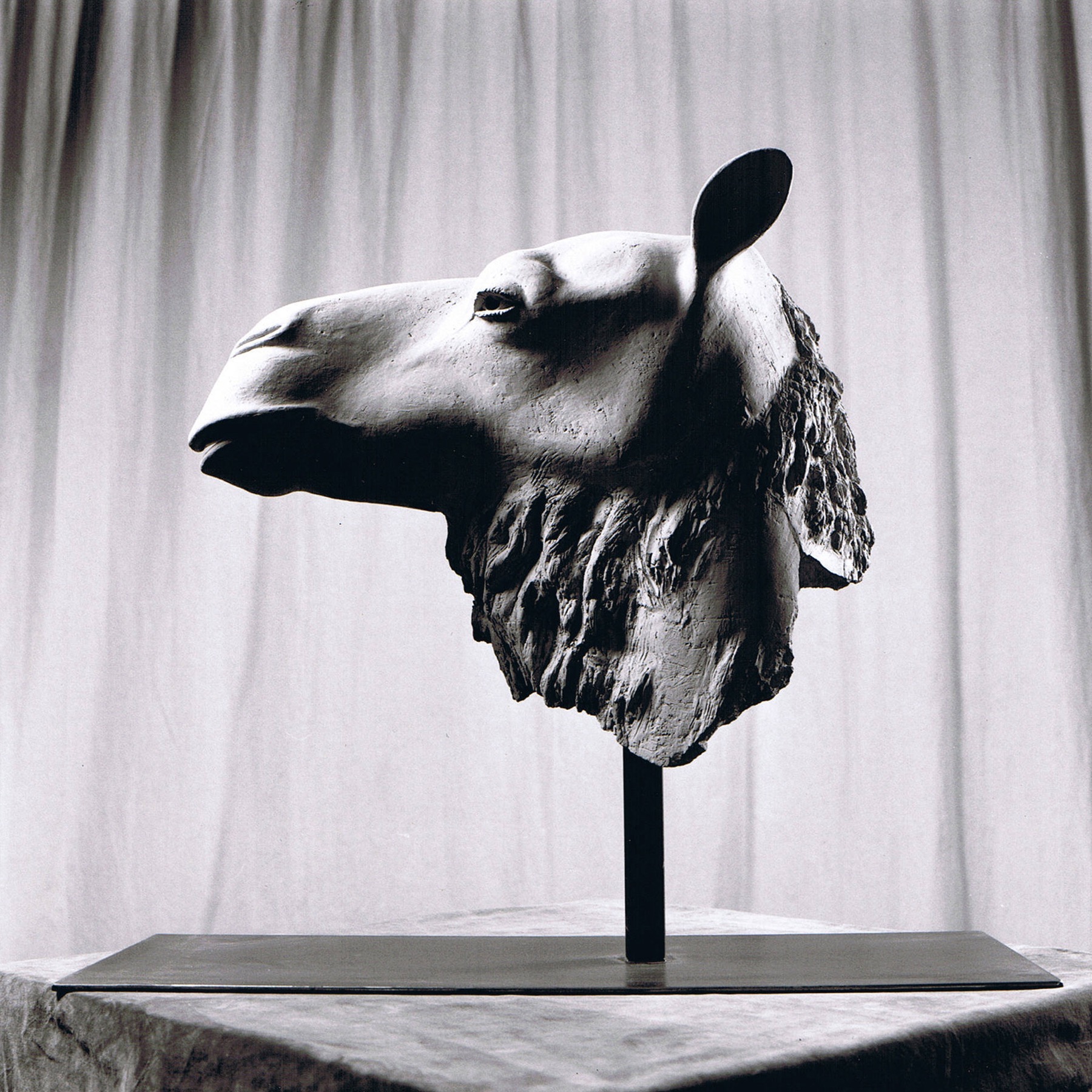 Sculpture terre cuite ronde-bosse animal chameau