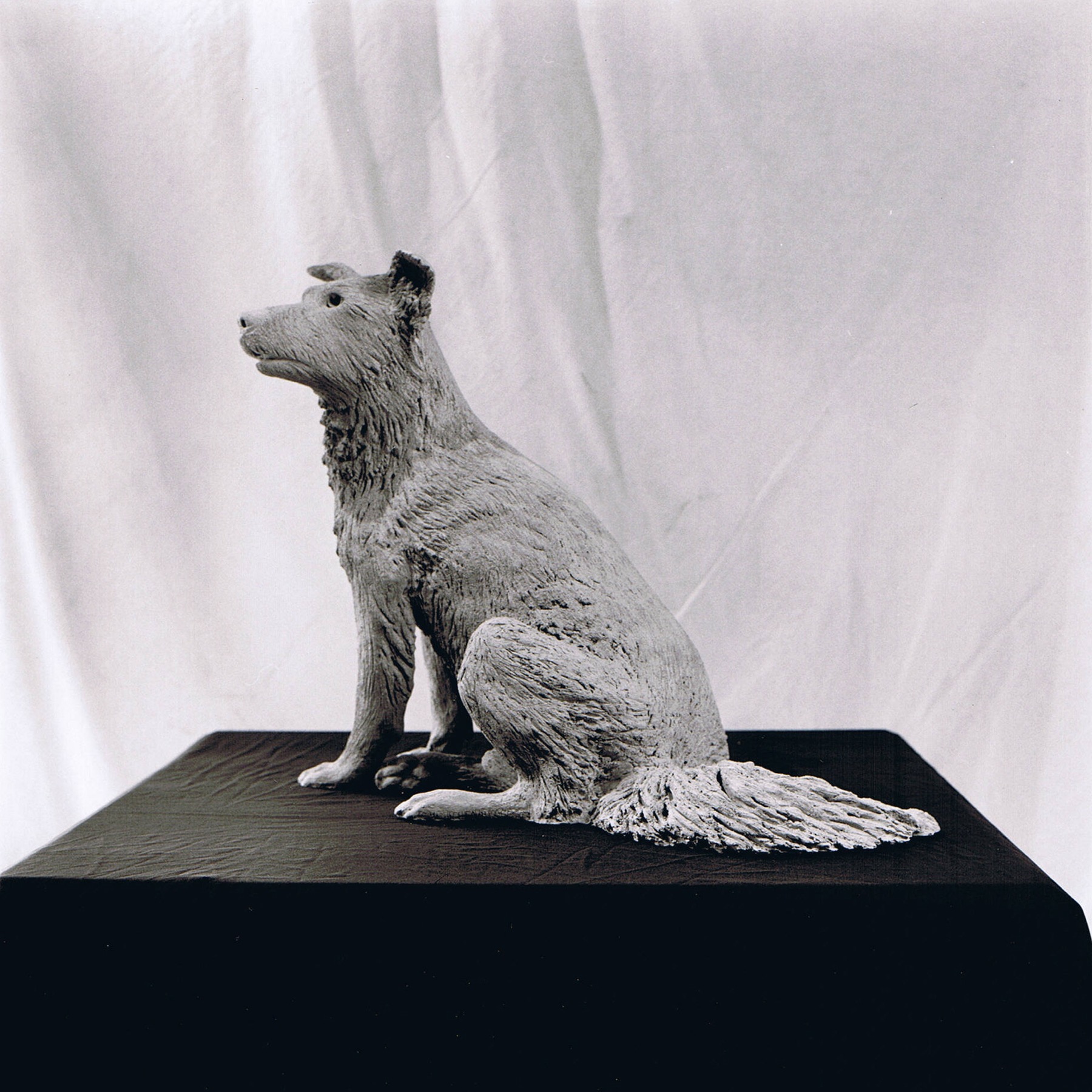 Sculpture terre cuite ronde-bosse animal chien