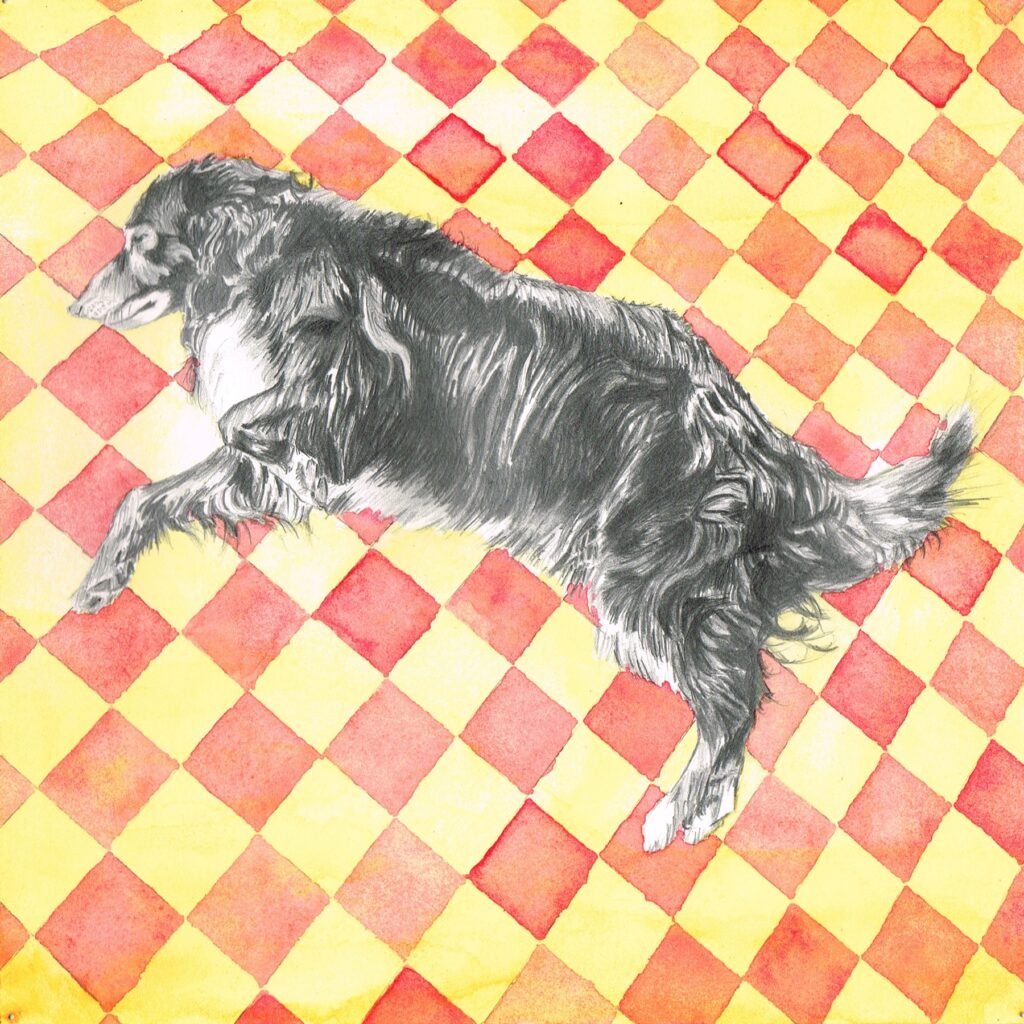 Dessin aquarelle chien