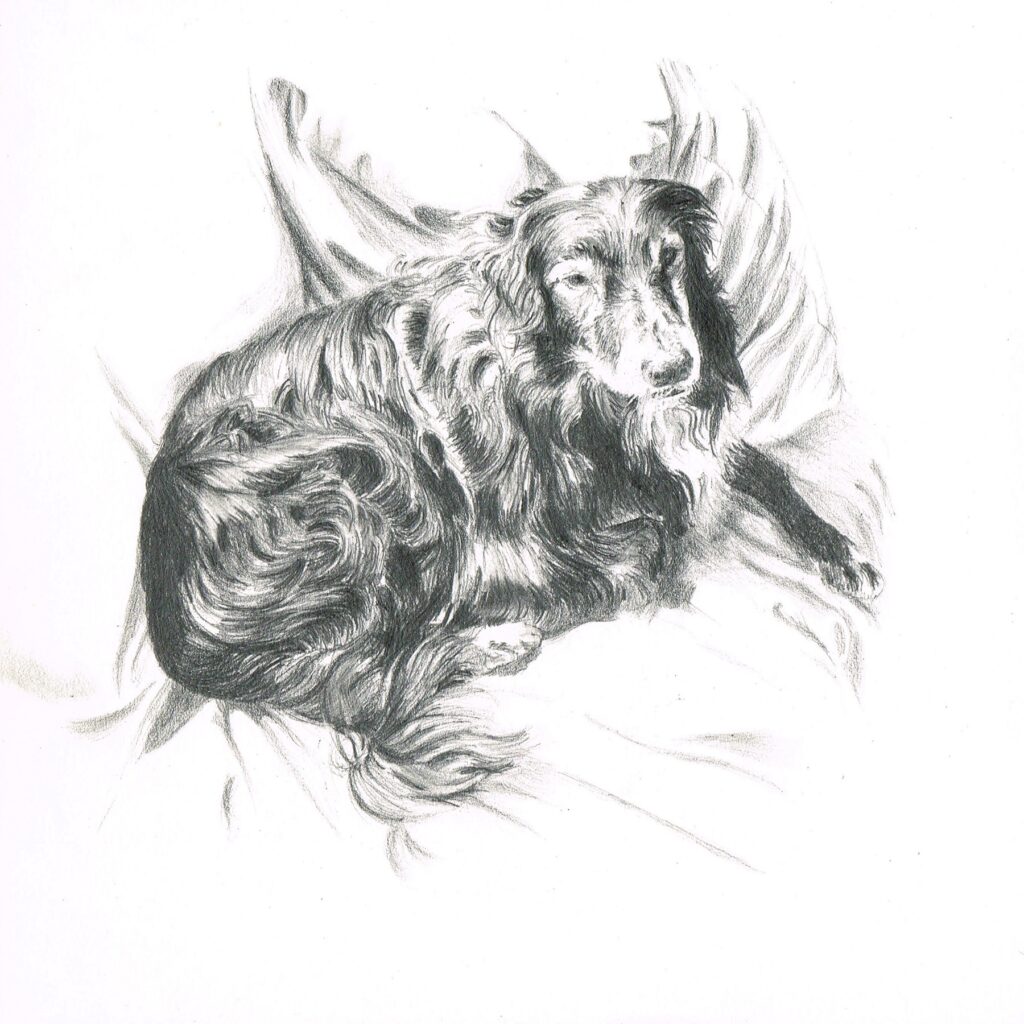 Dessin crayon chien