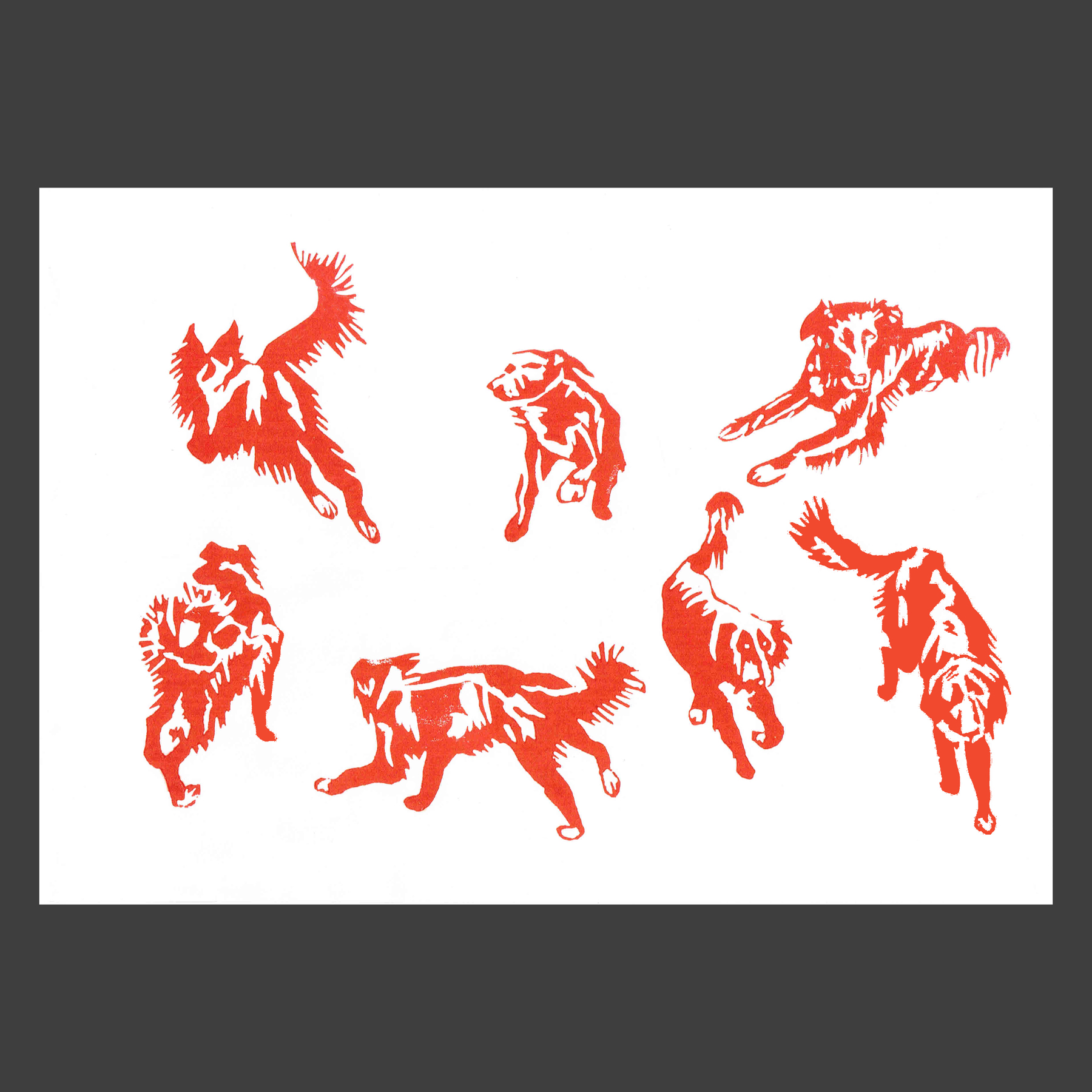Linogravure animal chien