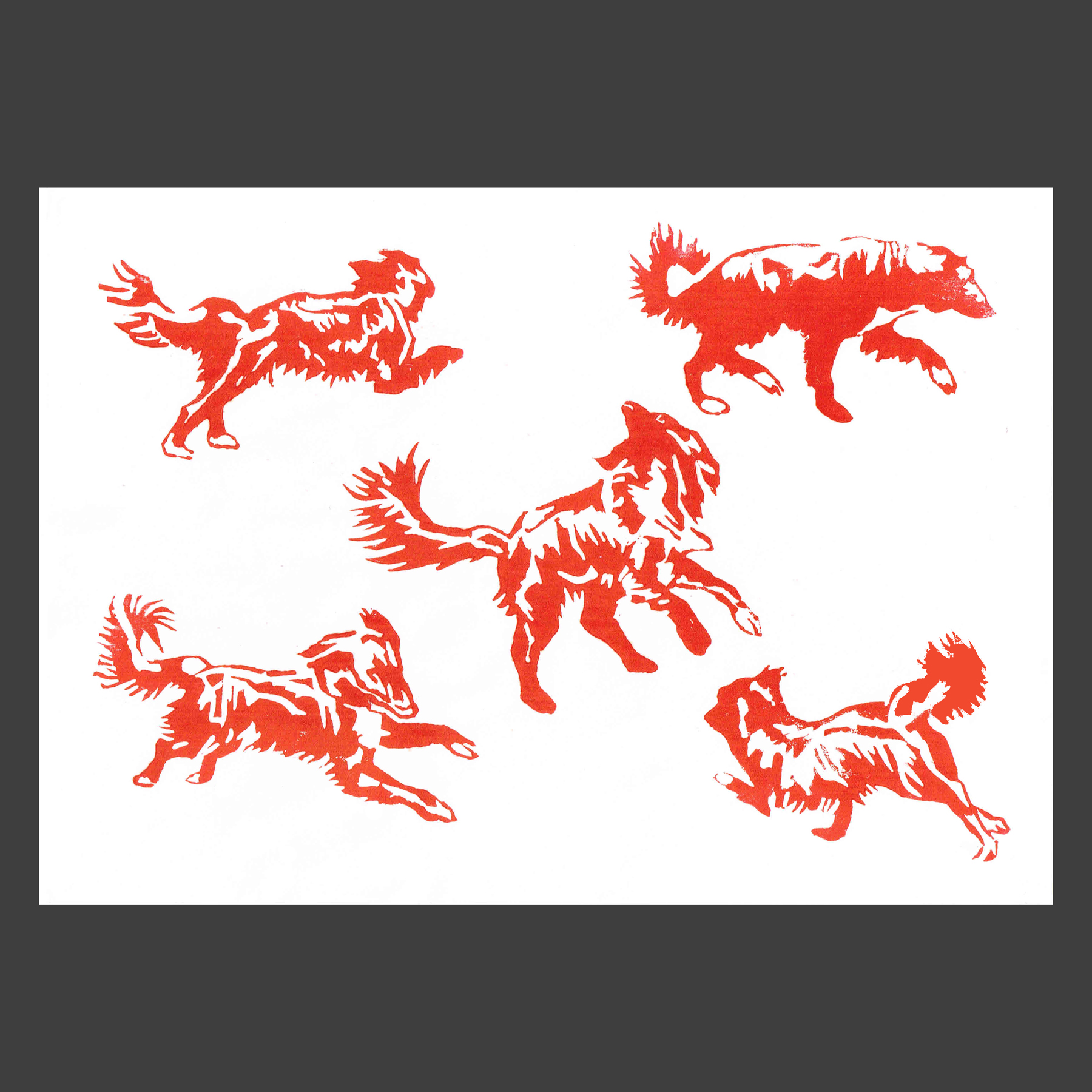 Linogravure animal chien
